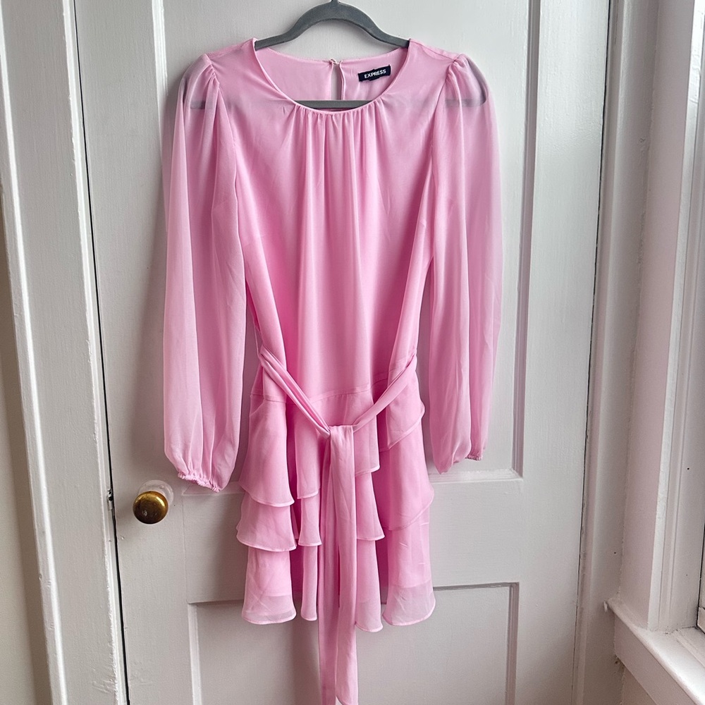 Express Pink Chiffon Long Sleeve Ruffle Dress